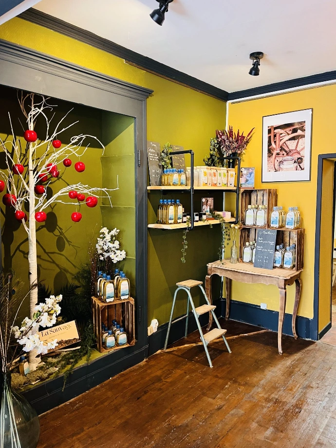 boutique à Vézelay