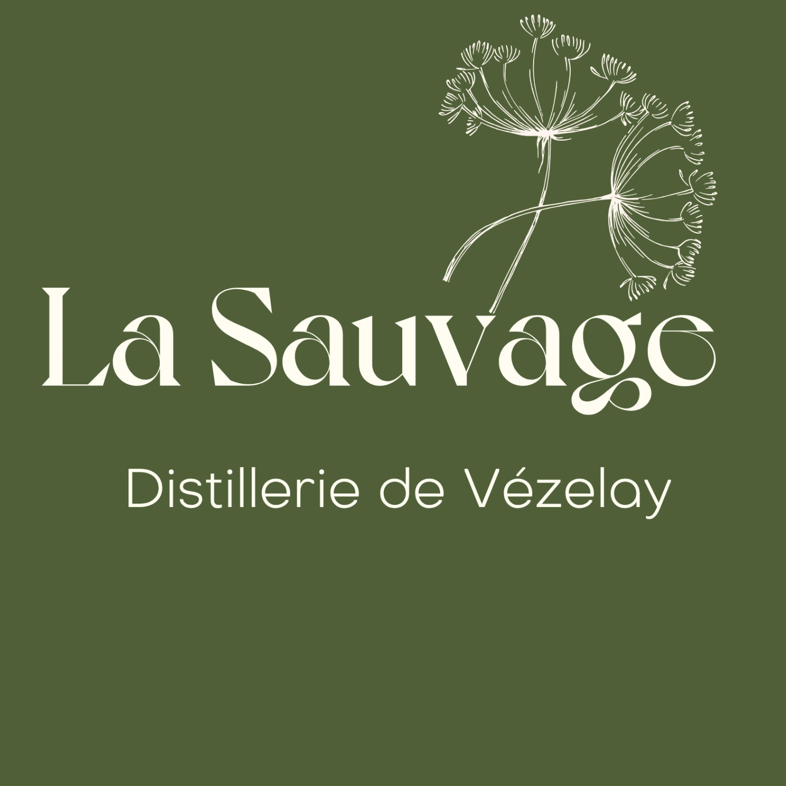 Distillerie artisanale La Sauvage — Vézelay, Bourgogne