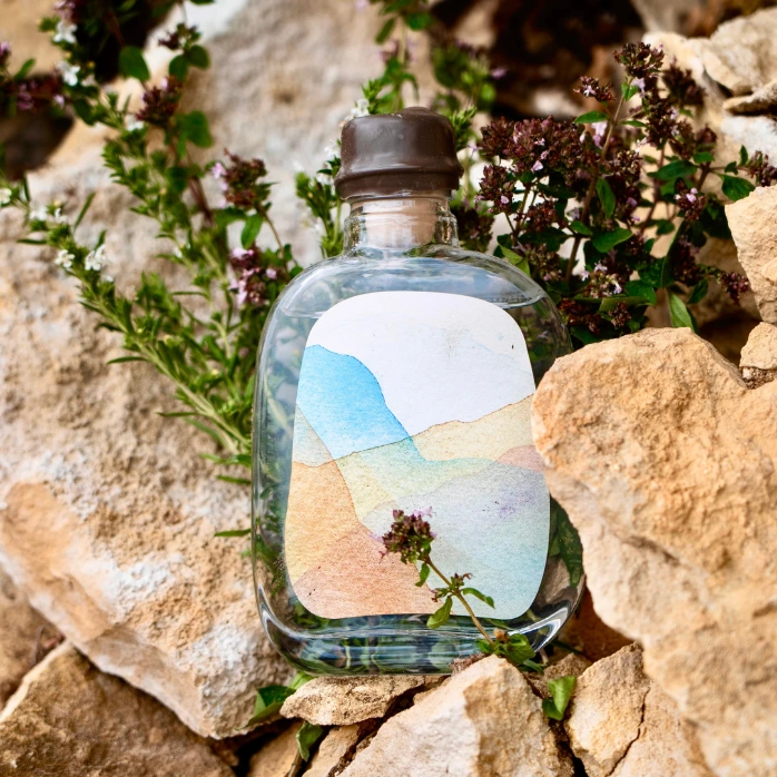 Gin Abrupt 20