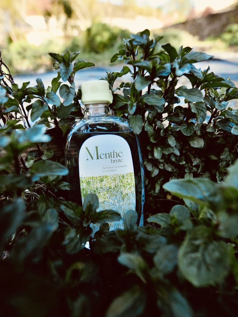 Menthe Brute 50