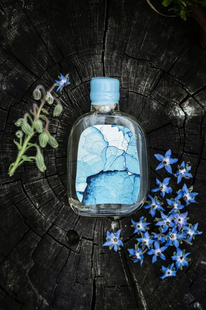 Menthe Farouche 20